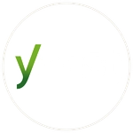 Yoast seo